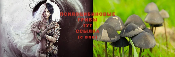 мдпв Каменск-Шахтинский